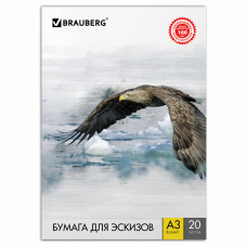 Папка для рисования А3 Brauberg Орел 20 листов 160 г/м2 125228 (3) в Москве